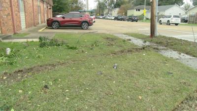 University Avenue Crash